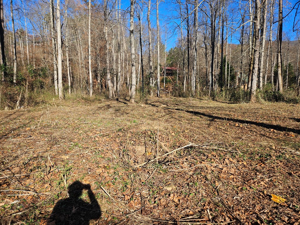 0 Mountain Meadows Drive W Property Photo 12