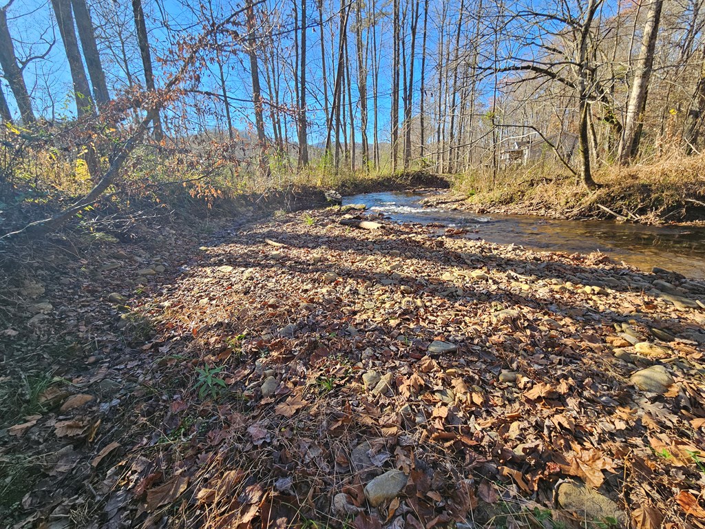 0 Mountain Meadows Drive W Property Photo 14