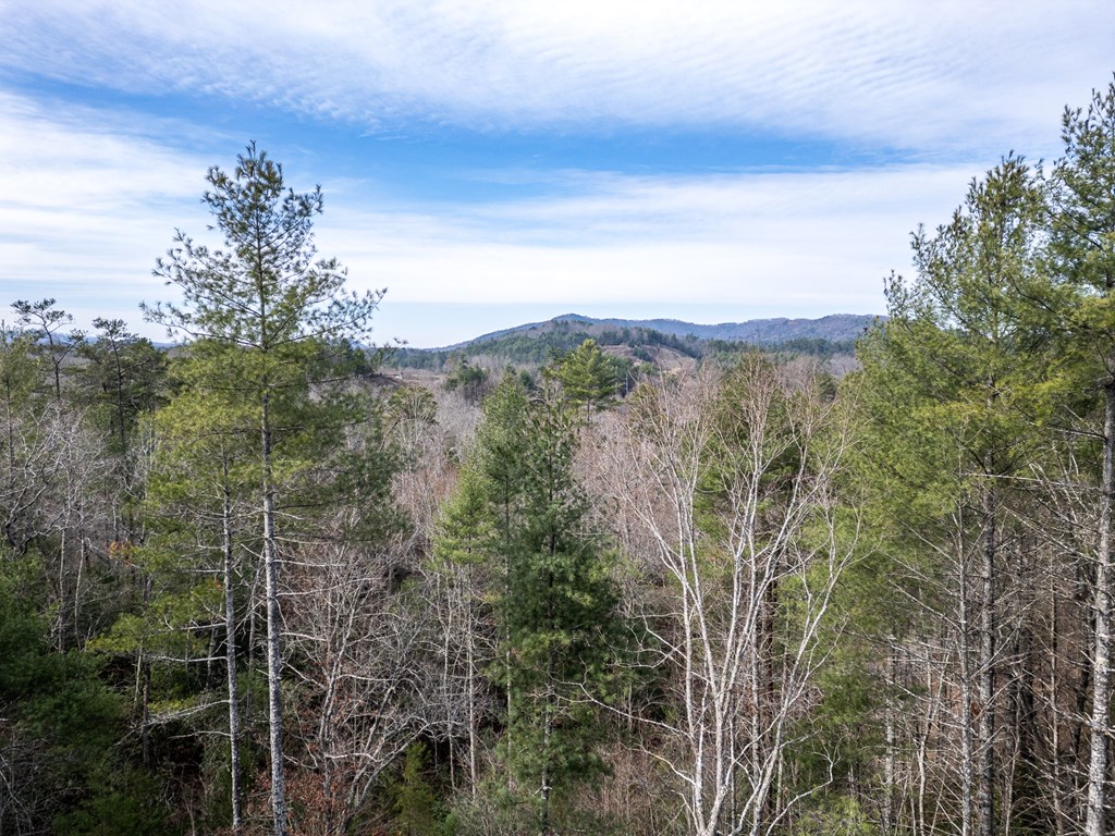 325 River Mountain Road Property Photo 36