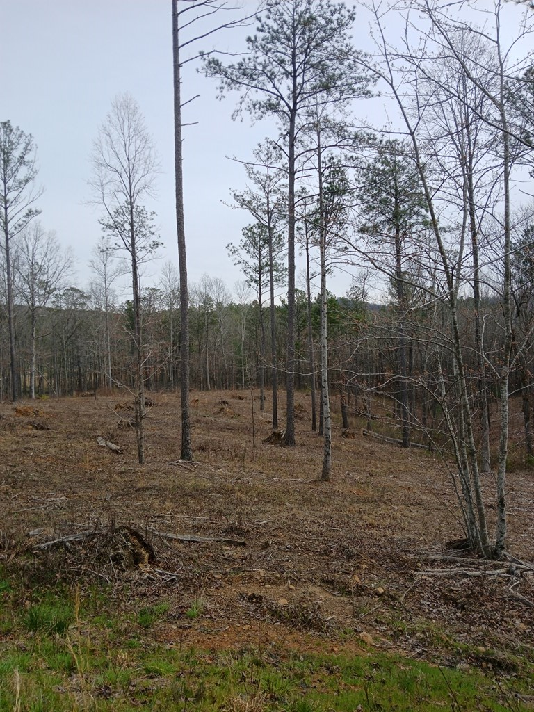 Lot 337 Timber Creek Trail Property Photo 4