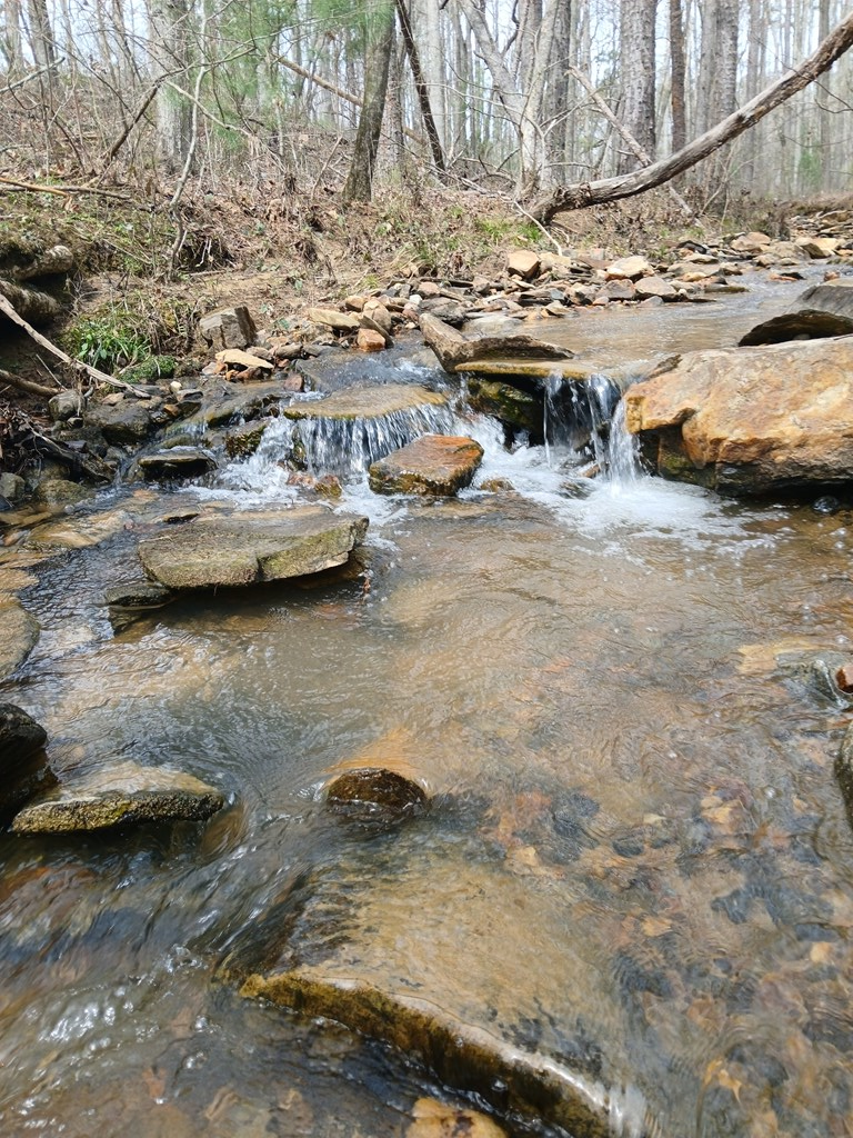 Lot 337 Timber Creek Trail Property Photo 6