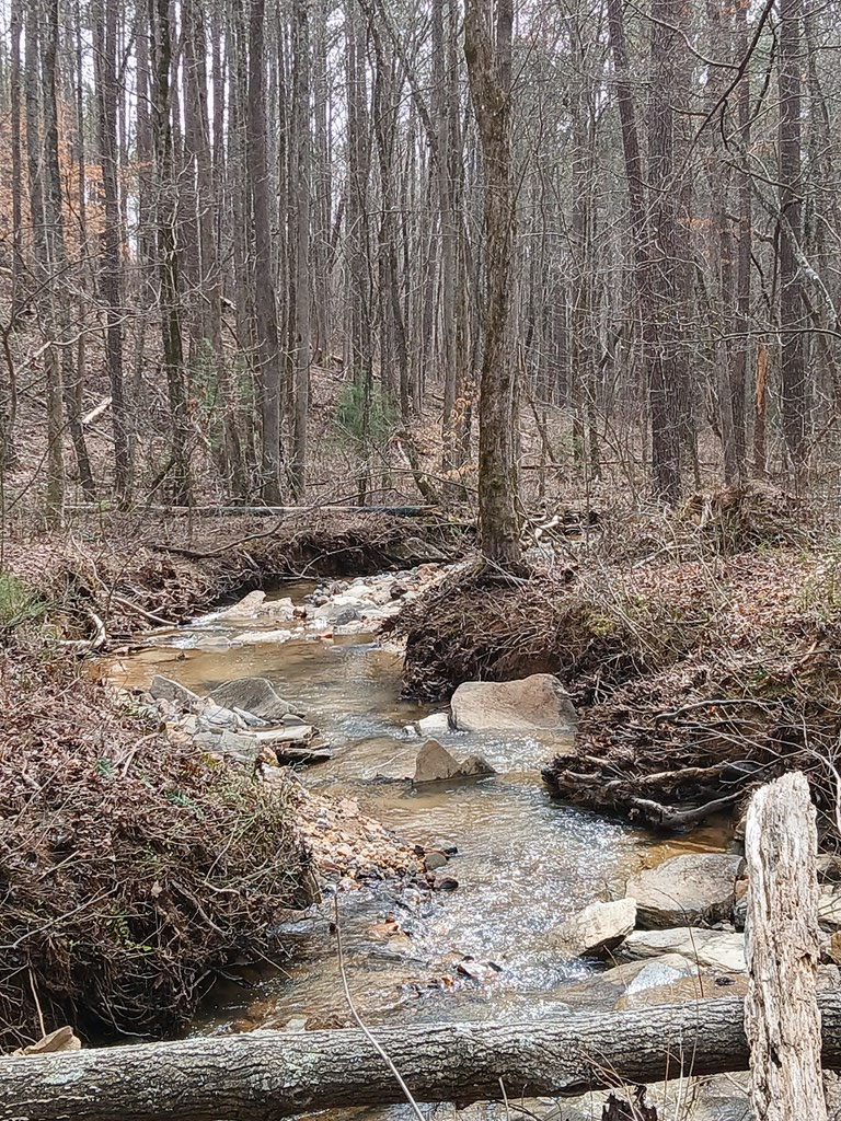 Lot 337 Timber Creek Trail Property Photo 10