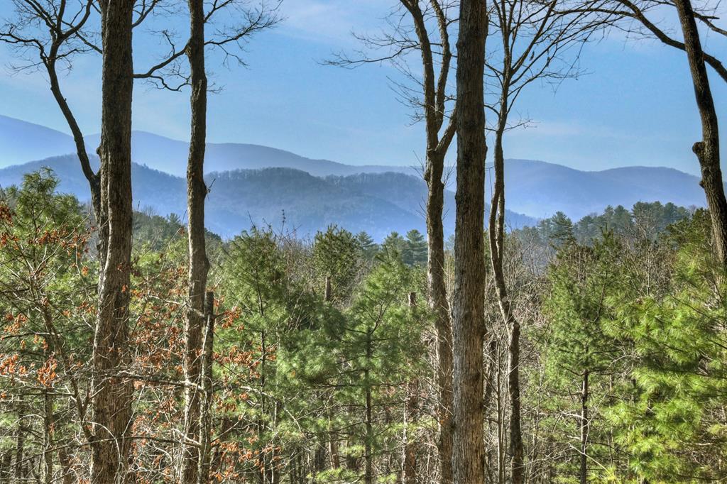 1183 Bear Paw Trail Property Photo 10