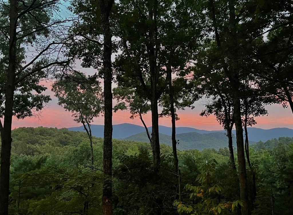 1183 Bear Paw Trail Property Photo 35