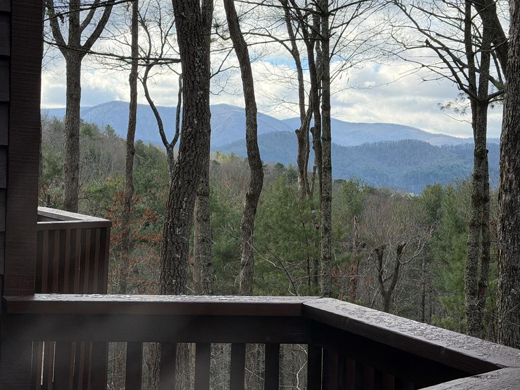 1183 Bear Paw Trail Property Photo 38
