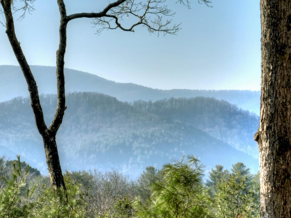 1183 Bear Paw Trail Property Photo 40