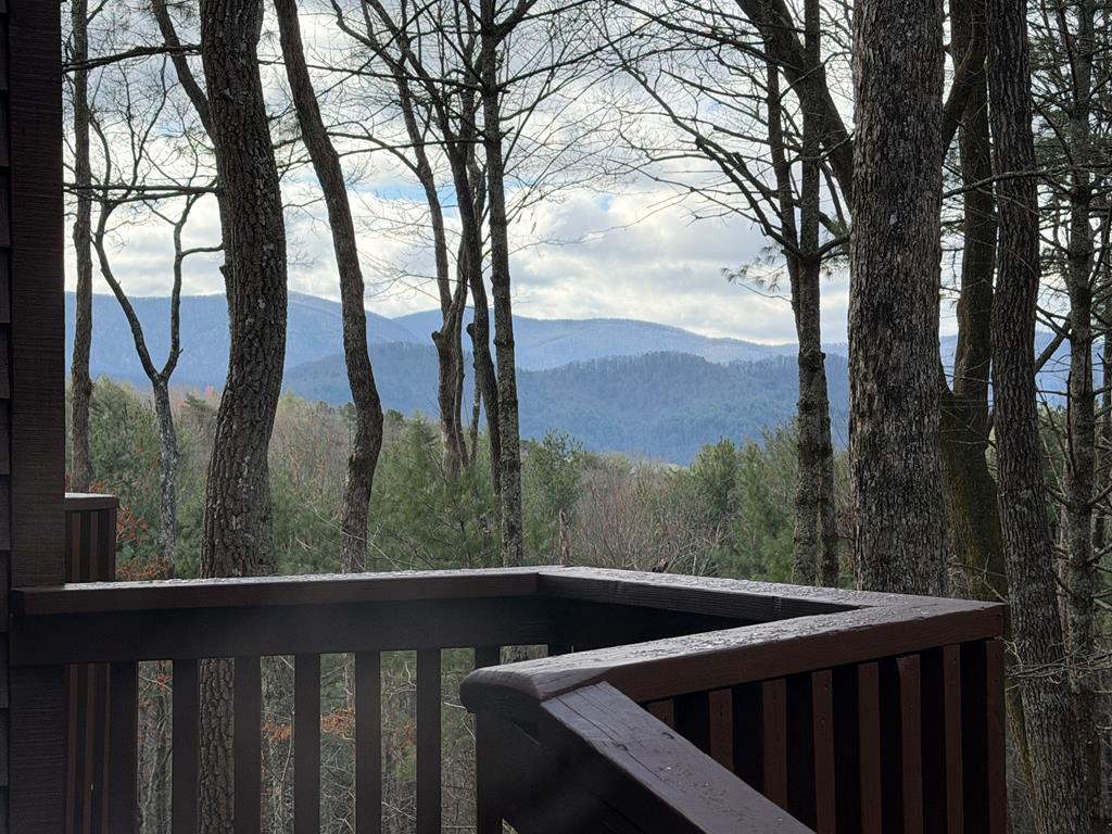 1183 Bear Paw Trail Property Photo 42