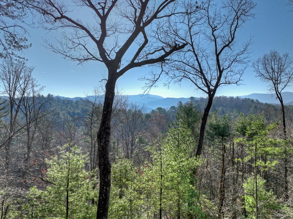 1183 Bear Paw Trail Property Photo 48