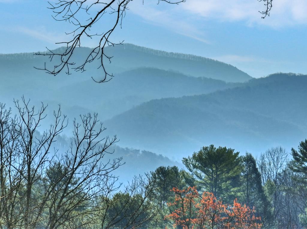 1183 Bear Paw Trail Property Photo 51