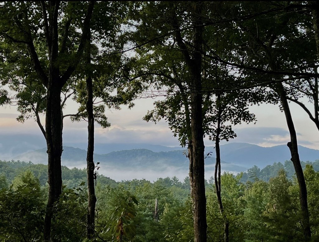1183 Bear Paw Trail Property Photo 54