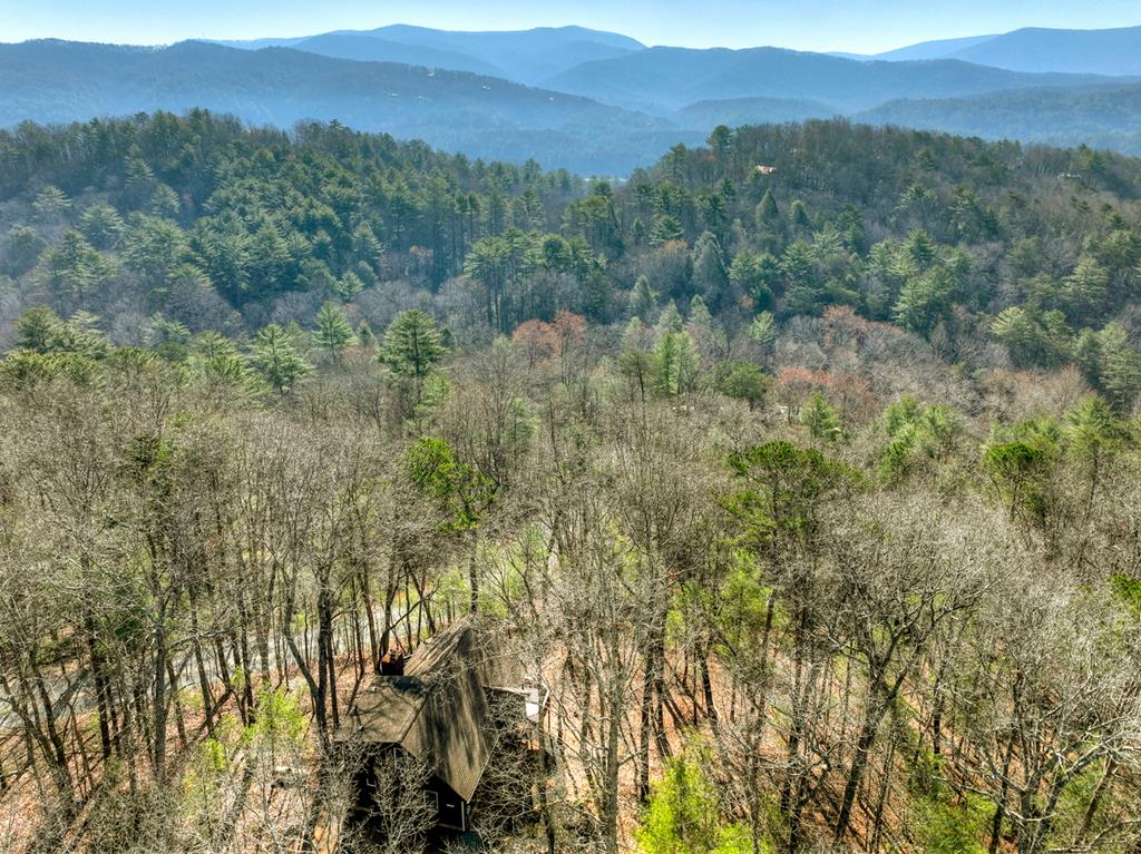 1183 Bear Paw Trail Property Photo 55