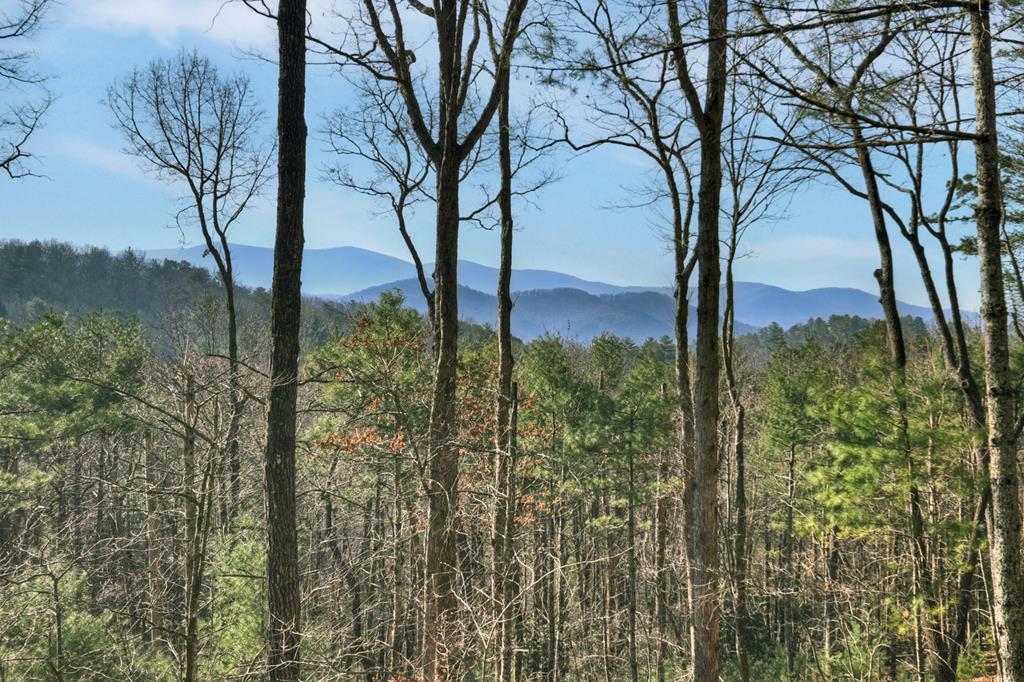 1183 Bear Paw Trail Property Photo 67