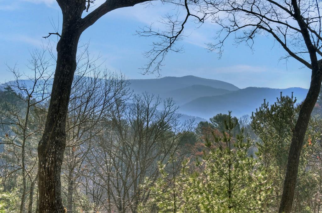 1183 Bear Paw Trail Property Photo 70