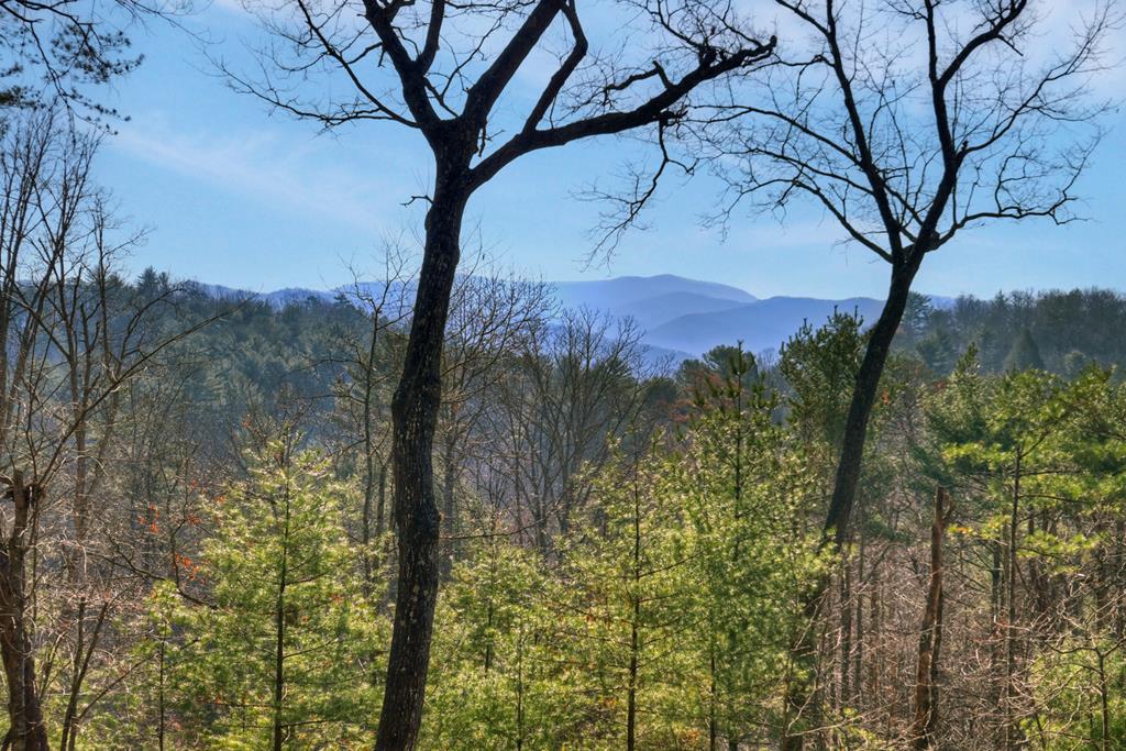 1183 Bear Paw Trail Property Photo 77