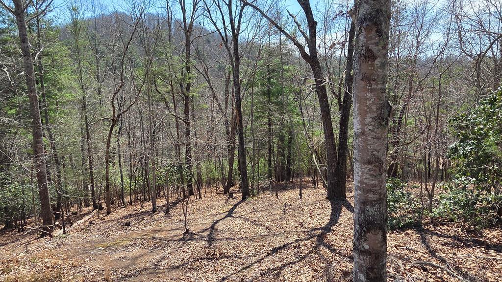 Lot 24 Pine Log Circle Property Photo 1