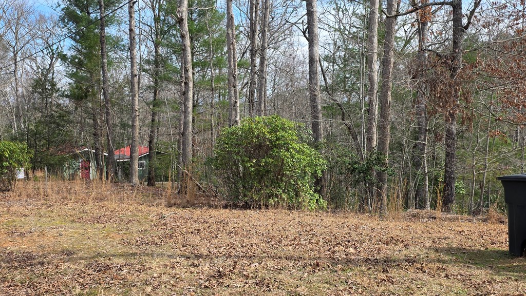 Lot 24 Pine Log Circle Property Photo 3