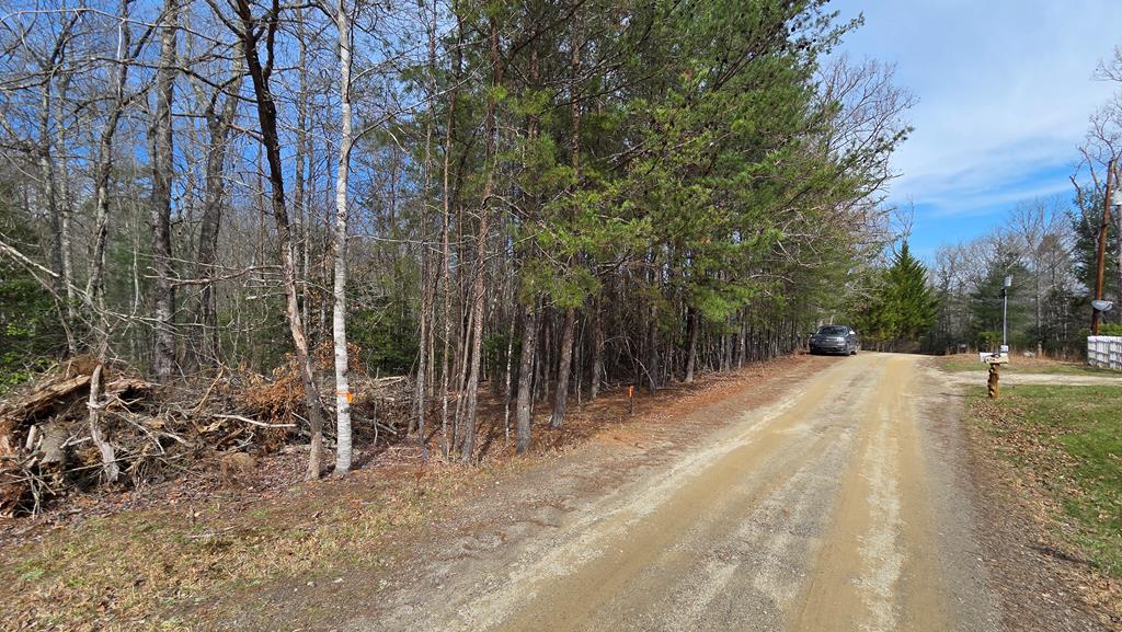 Lot 24 Pine Log Circle Property Photo 4