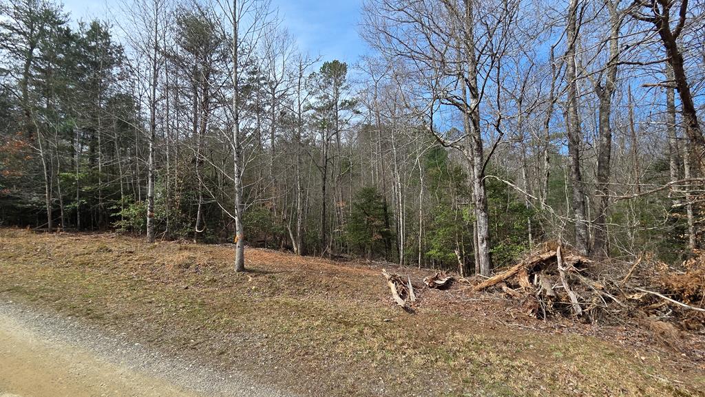 Lot 24 Pine Log Circle Property Photo 5