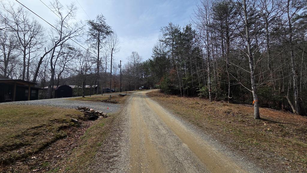 Lot 24 Pine Log Circle Property Photo 6