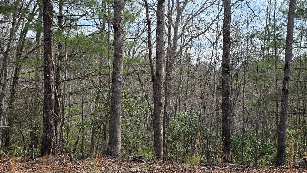 Lot 24 Pine Log Circle Property Photo 9