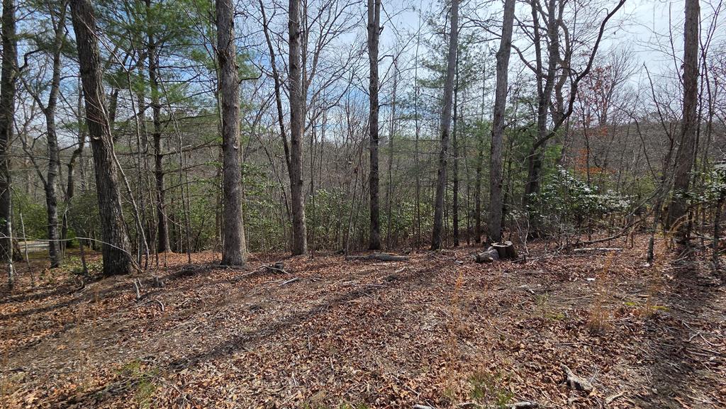 Lot 24 Pine Log Circle Property Photo 10