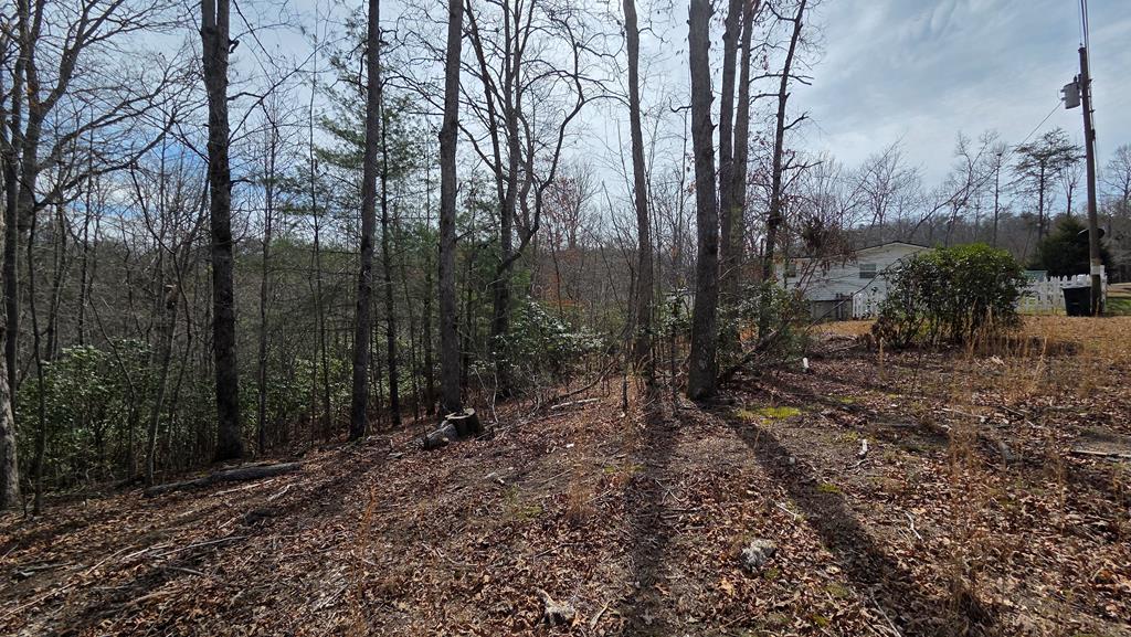 Lot 24 Pine Log Circle Property Photo 11