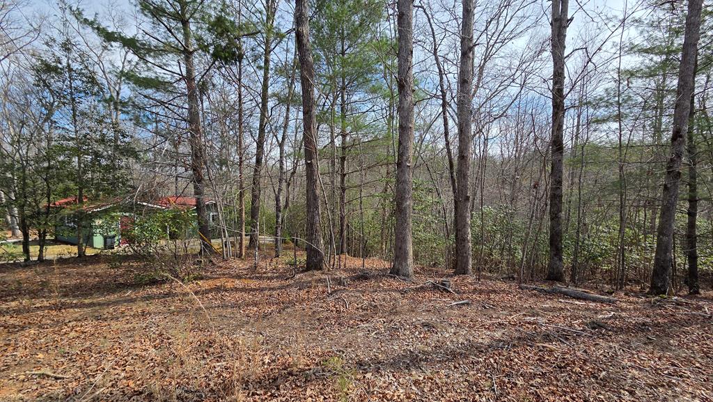 Lot 24 Pine Log Circle Property Photo 12