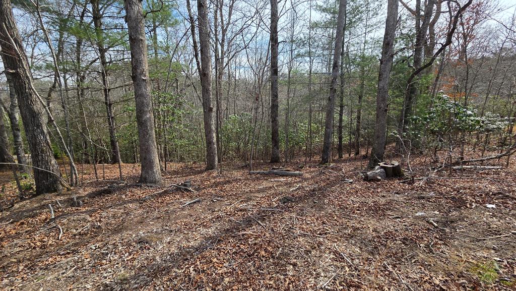 Lot 24 Pine Log Circle Property Photo 13
