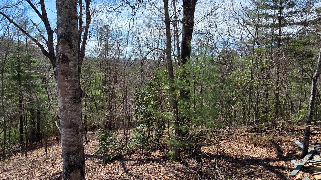 Lot 24 Pine Log Circle Property Photo 16