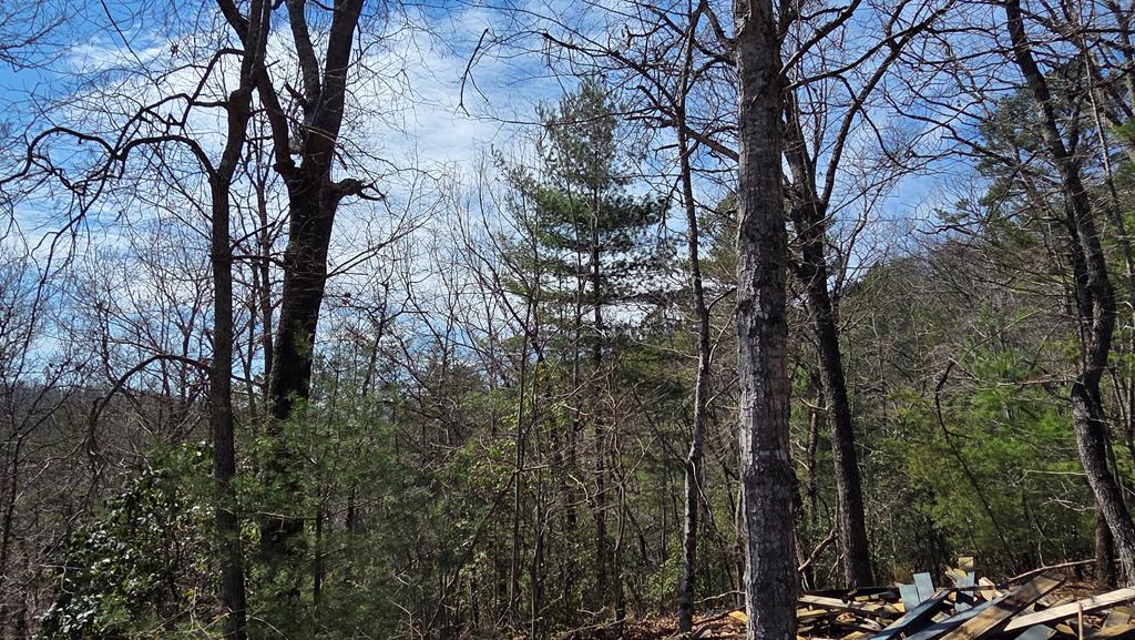 Lot 24 Pine Log Circle Property Photo 17