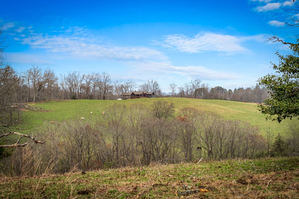 416 Windy Valley Trail Property Photo 61
