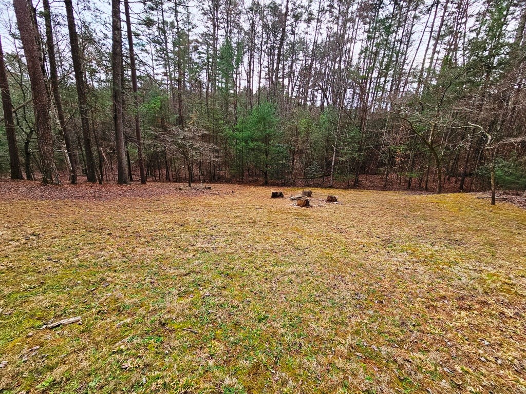 245 Sunnie Lane Property Photo 33