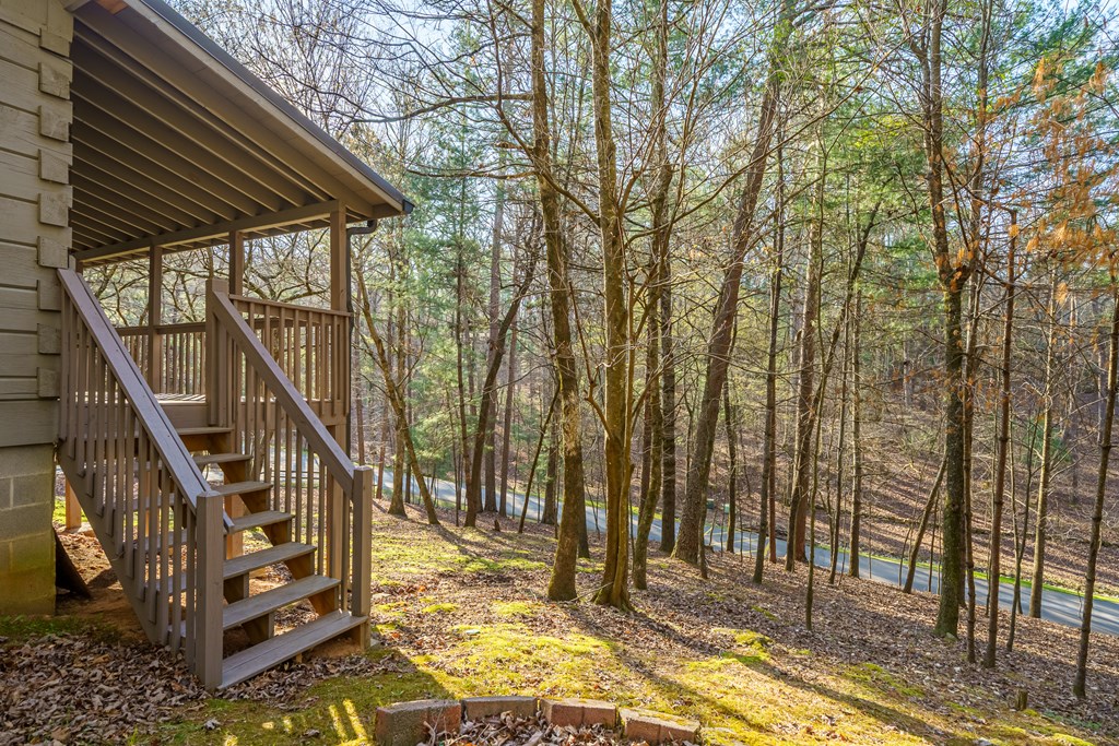 19 Blackberry Falls Lane Property Photo 35