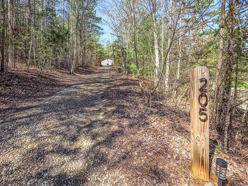 205 Ross Ridge Road Property Photo 49