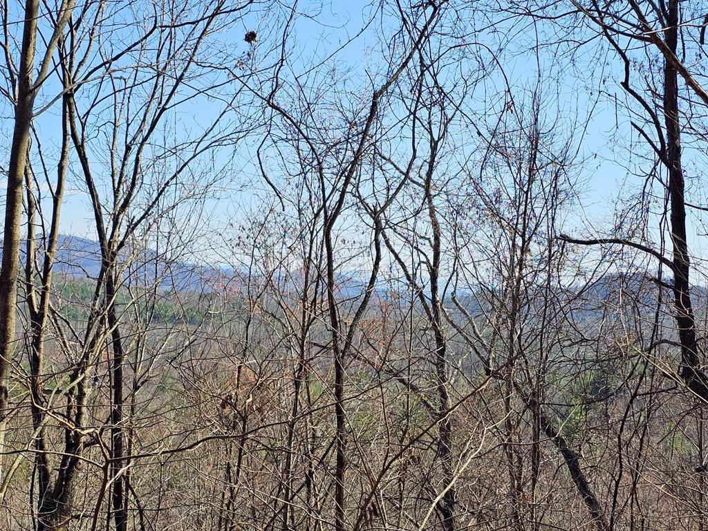 Lot 39 Merlin Trail/Warbler Road Property Photo 1