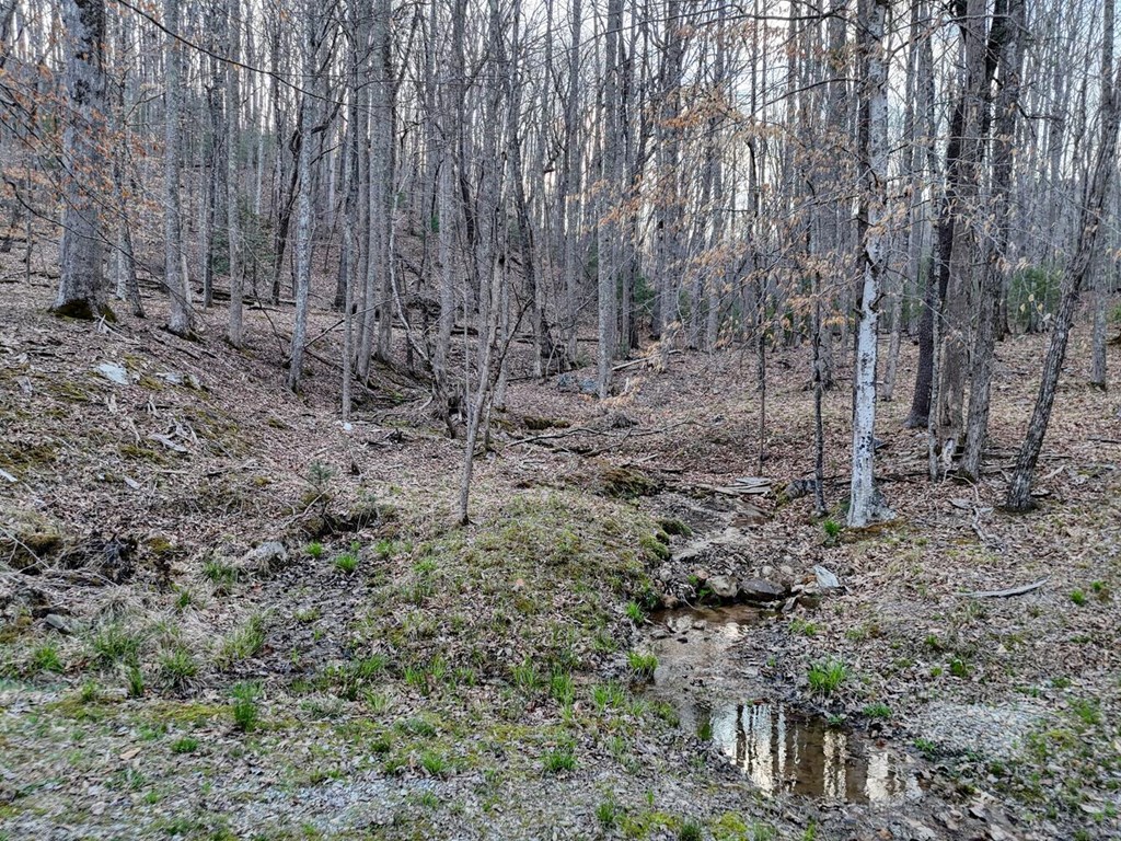 633 Timber Ridge Road Property Photo 57