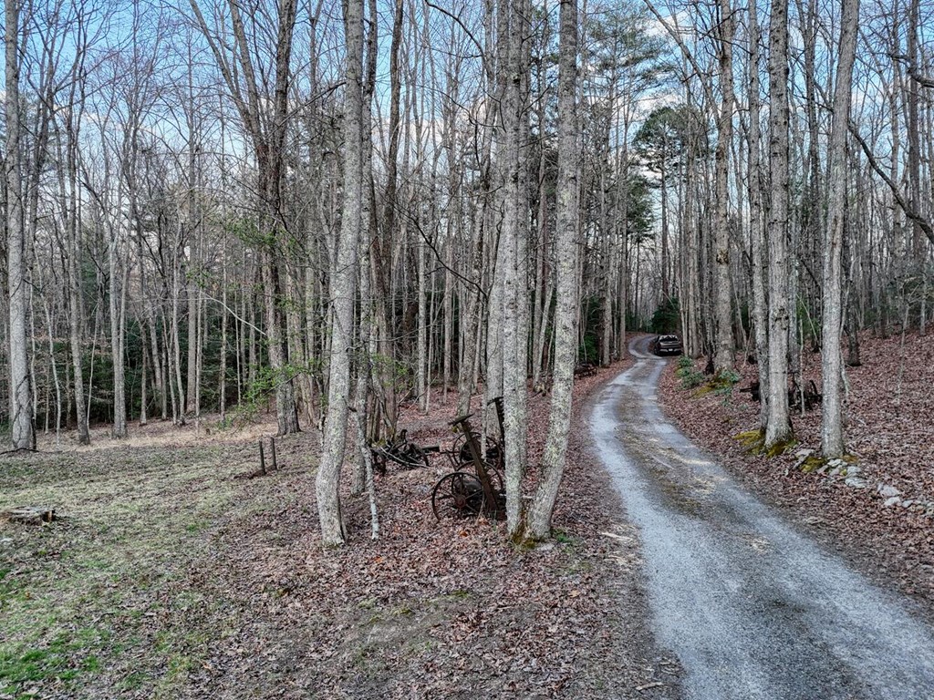 633 Timber Ridge Road Property Photo 59