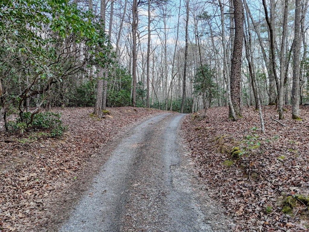 633 Timber Ridge Road Property Photo 60