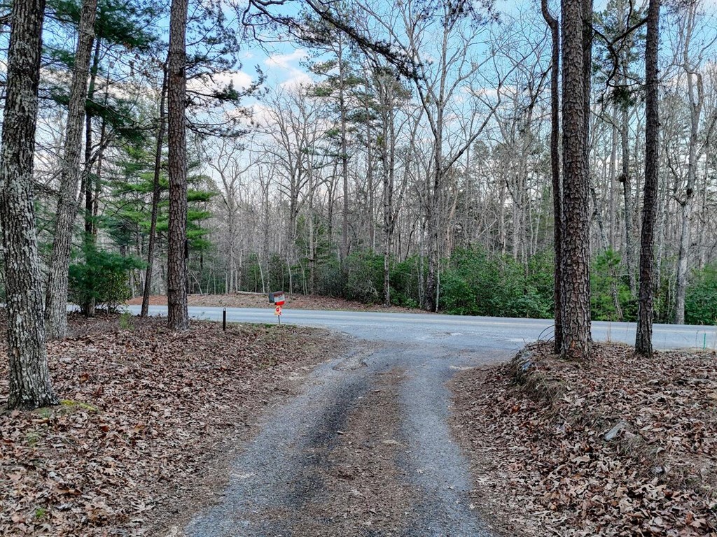 633 Timber Ridge Road Property Photo 61