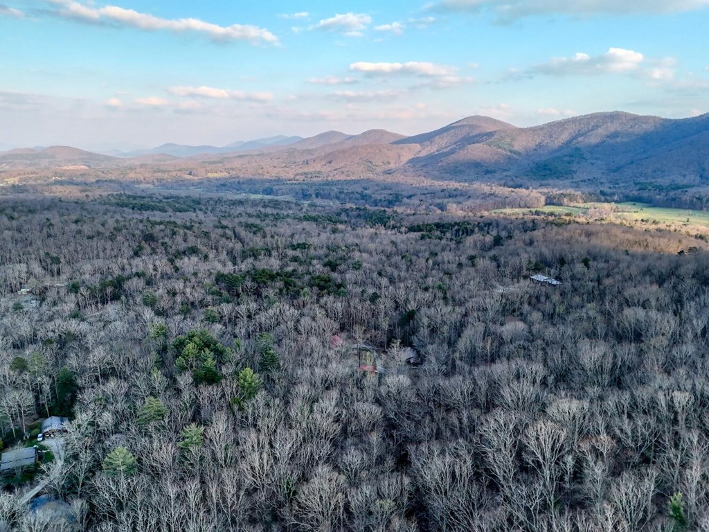 633 Timber Ridge Road Property Photo 67