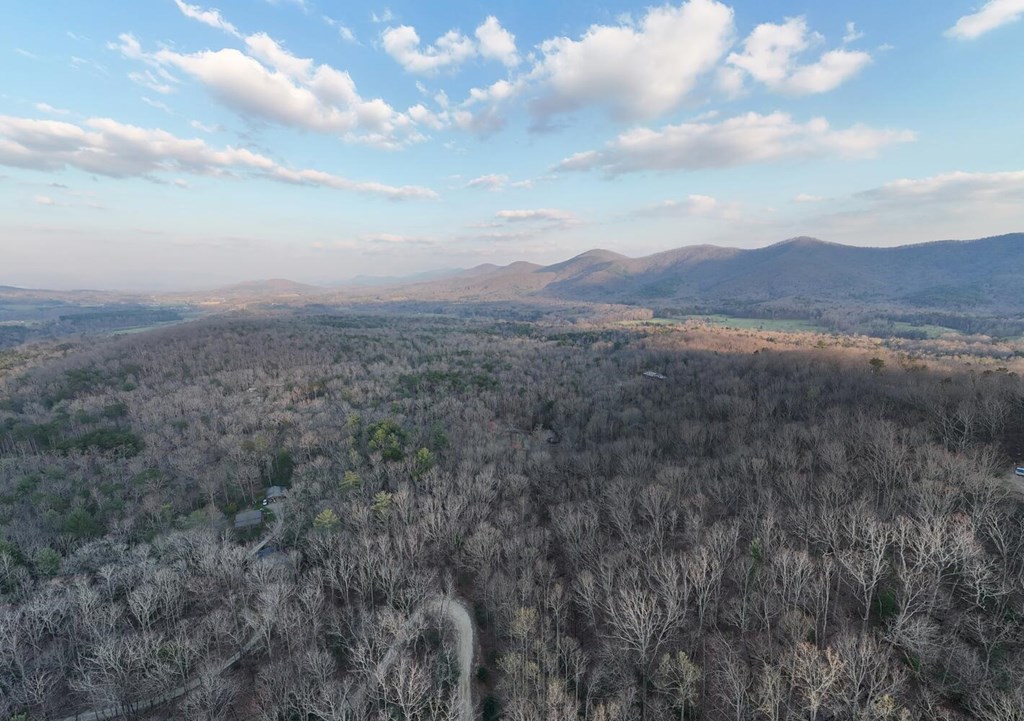 633 Timber Ridge Road Property Photo 68
