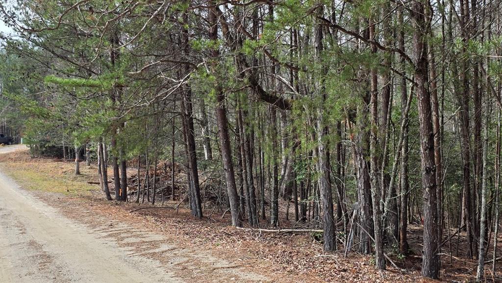 Lot 25 Pine Log Circle Property Photo 1