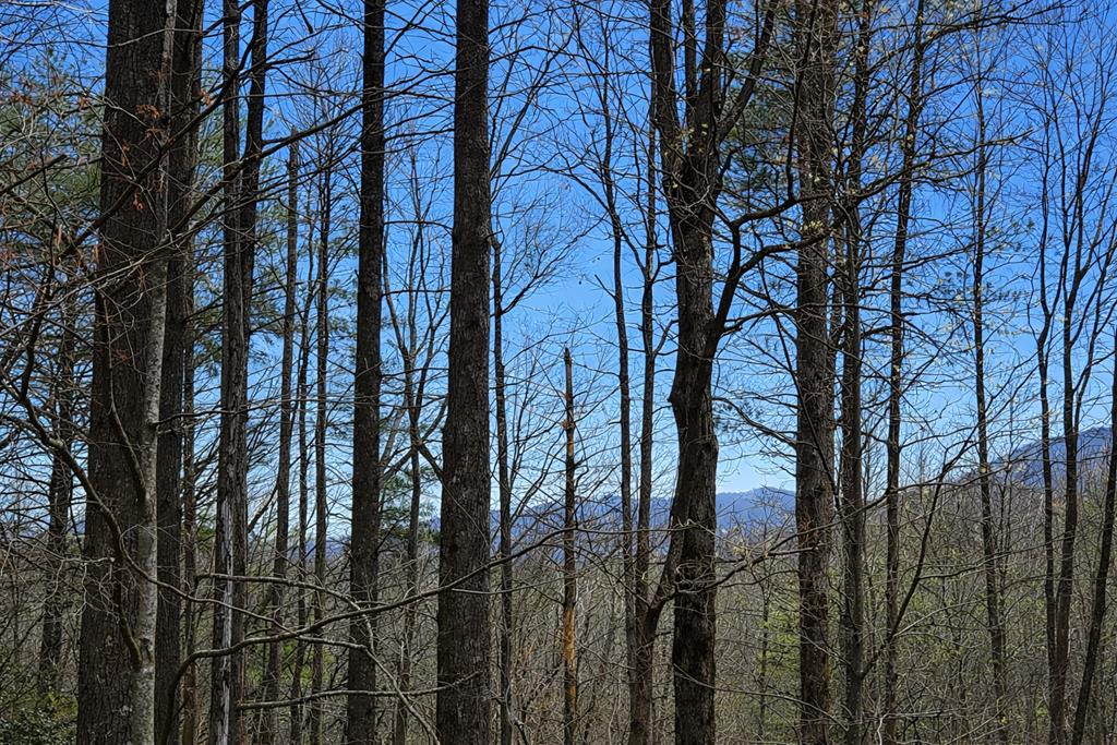 396 Dover Falls Trail Property Photo 4