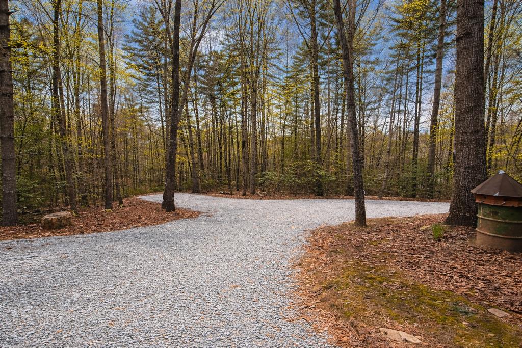 396 Dover Falls Trail Property Photo 53