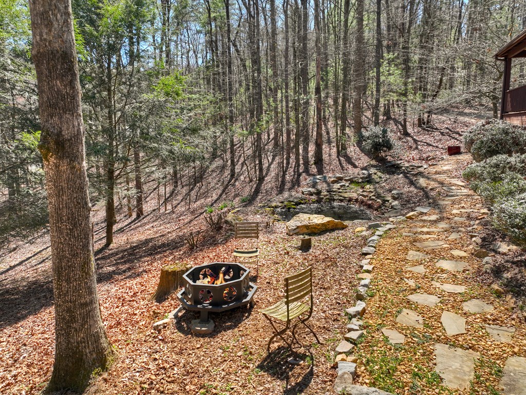 396 Dover Falls Trail Property Photo 54