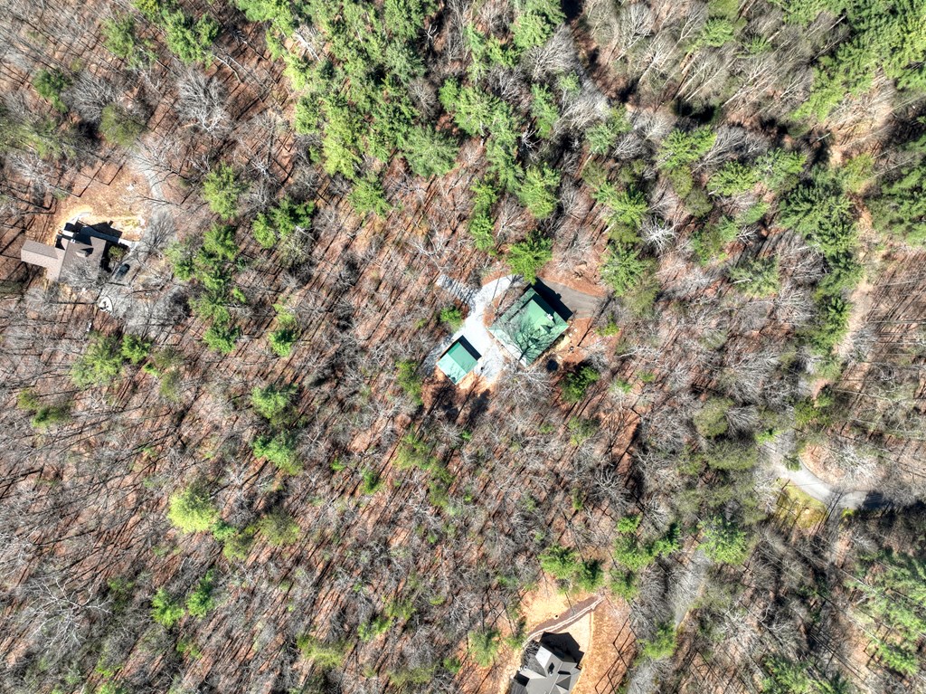 396 Dover Falls Trail Property Photo 58