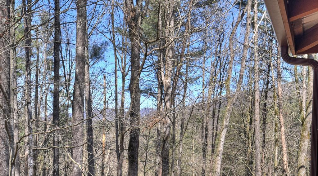396 Dover Falls Trail Property Photo 66