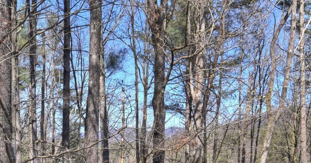 396 Dover Falls Trail Property Photo 67