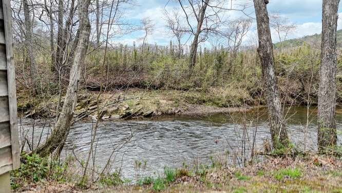 50 Pappys Plaza Property Photo 6