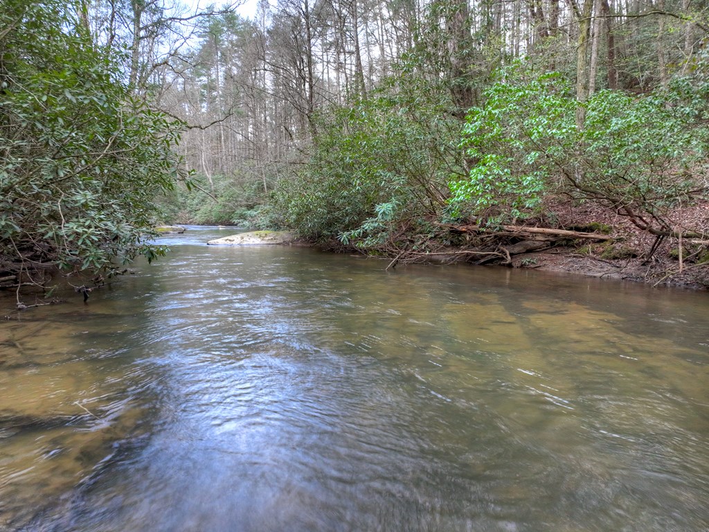 266 River Road Property Photo 4